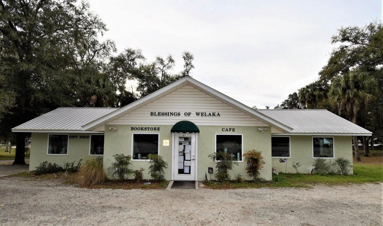 LDCRE 667 3rd Ave, Welaka, FL 32193 Welaka, Florida